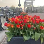 招待所 Amstel Boutique 阿姆斯特丹
