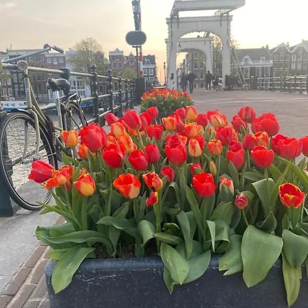 Konukevi Amstel Boutique Amsterdam
