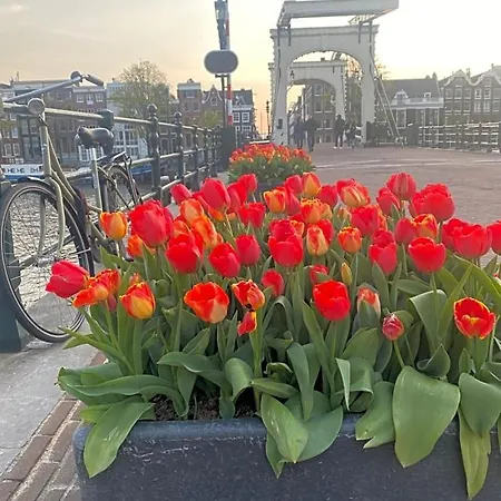 Amstel Boutique Guest house Amsterdam