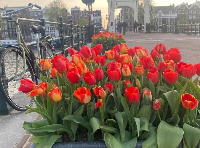 Gasthuis Amstel Boutique Amsterdam